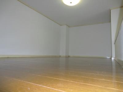 Other room space. Loft (photo another type)