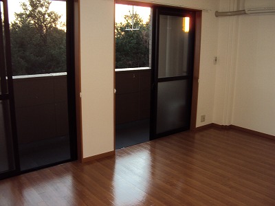 Living and room. Living