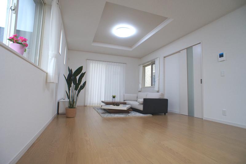 Living. Indoor (12 May 2013) Shooting