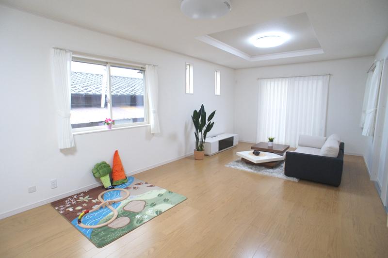 Living. Indoor (12 May 2013) Shooting