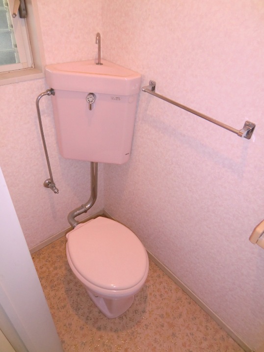 Other. Toilet