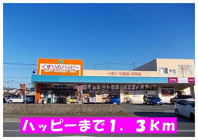 Dorakkusutoa. Medicine Happy 1300m up (drugstore)