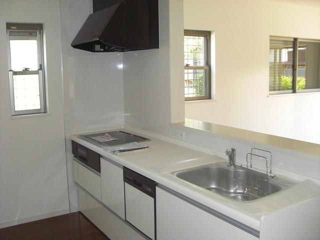 Kitchen. Room (August 2013) Shooting