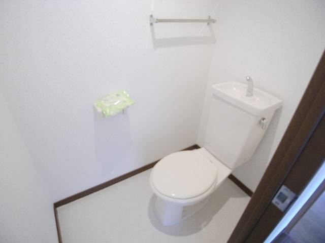 Toilet. Toilet to settle