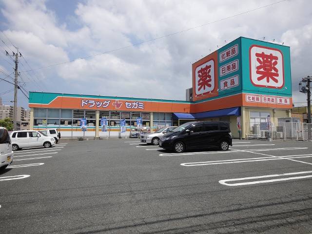 Dorakkusutoa. Drag Segami Hatae shop 352m until (drugstore)