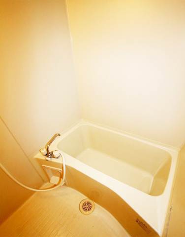 Bath. Bathing is also a beautiful spacious