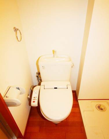 Toilet. Bidet with toilet!