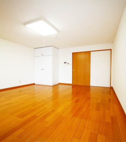 Living and room. Built shallow net free! First of all, please call