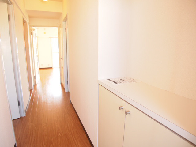 Entrance. With a shoe box! Entrance is also bright.