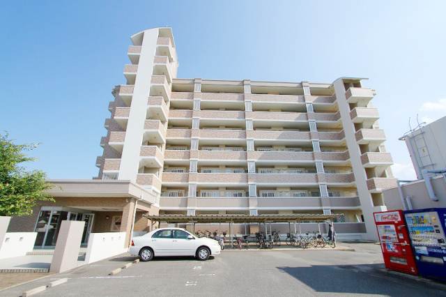 Other. Firm Mansion Type