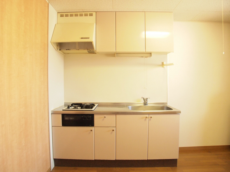 Kitchen. Pat also housed in the closet. 