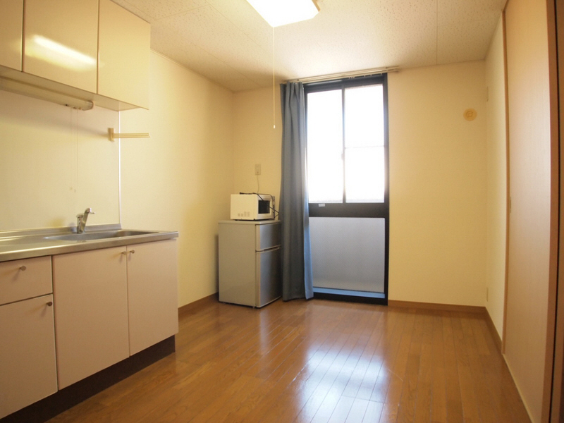 Living and room. Day is a good dining kitchen. 