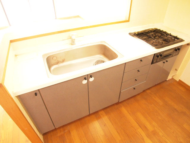 Kitchen. Popular counter system Kitchen.