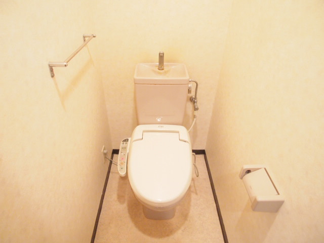 Toilet. It is comfortable with a bidet.