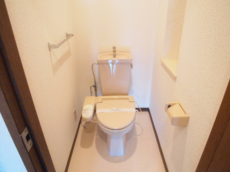 Toilet. Storeroom of at hand will be saved.