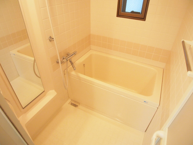 Bath. Bathroom is also a ventilation good bathroom with a window. 