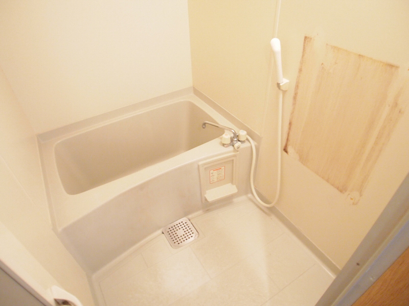 Bath. Let's heal the tired bathroom! 