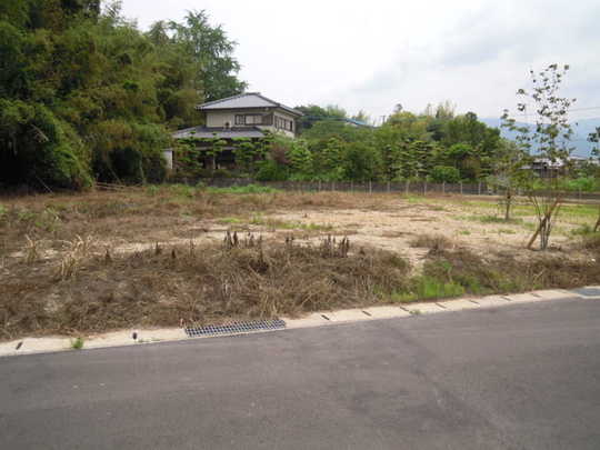 Local land photo