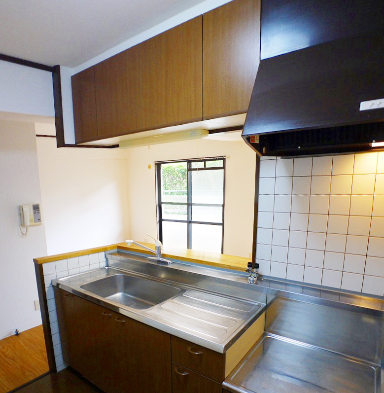 Kitchen. Popular counter kitchen