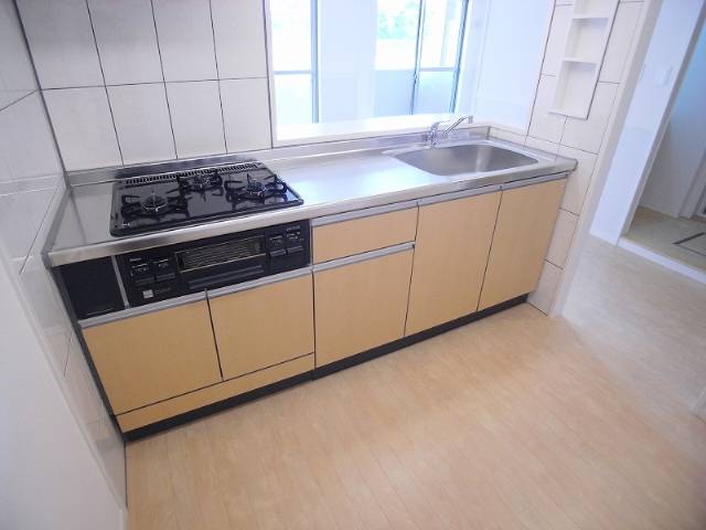 Kitchen. Popular counter kitchen