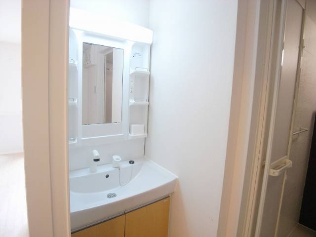 Washroom. Washbasin with shower