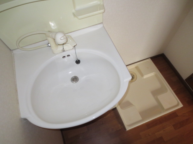 Washroom. Shampoo dresser