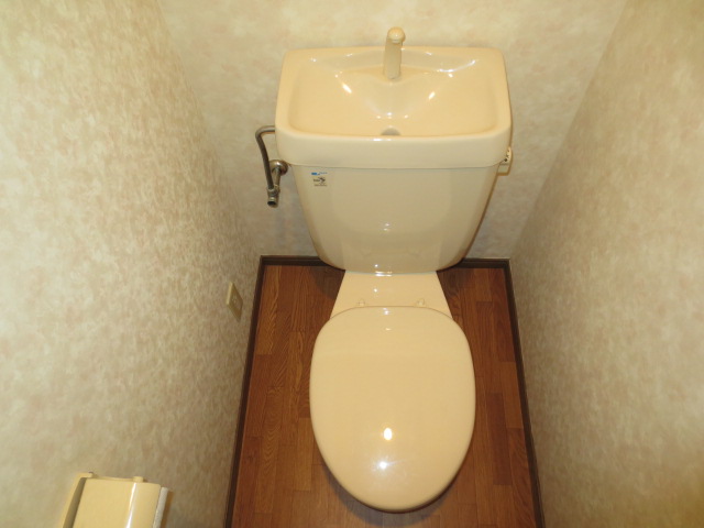 Toilet. Please sit back slowly