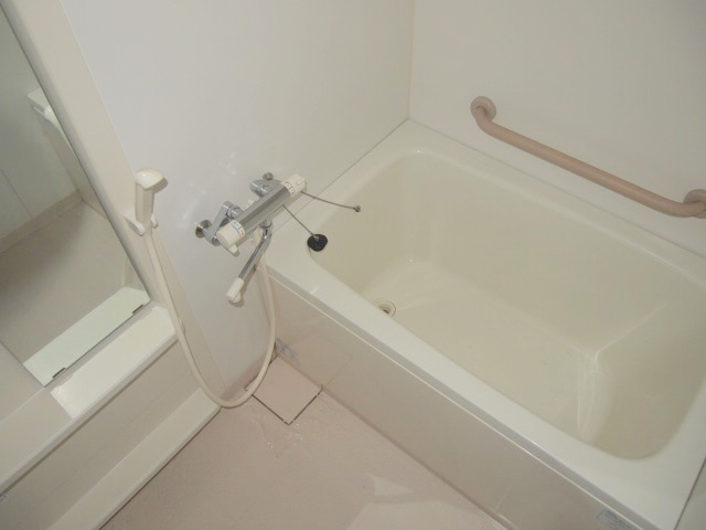 Bath. The bath is equipped with a mirror and a handrail with a space.