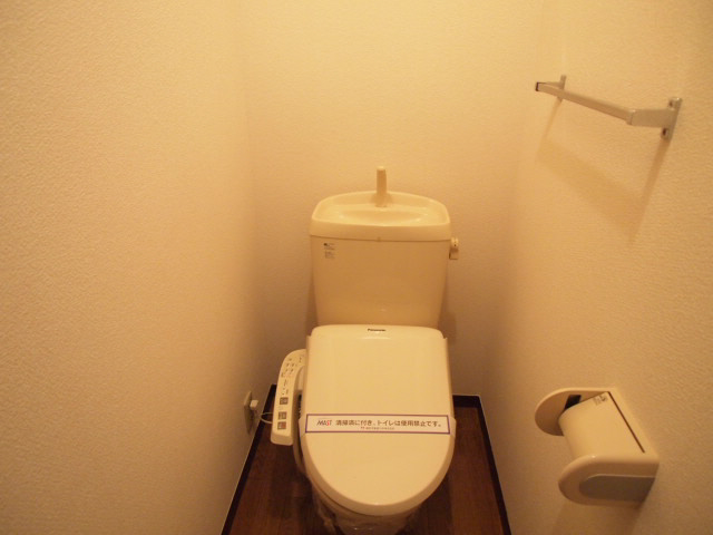 Toilet. Comfortable and with a warm water washing toilet seat.