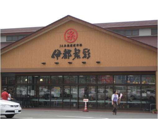 Other Environmental Photo. Ito vegetables adopted up to 1700m