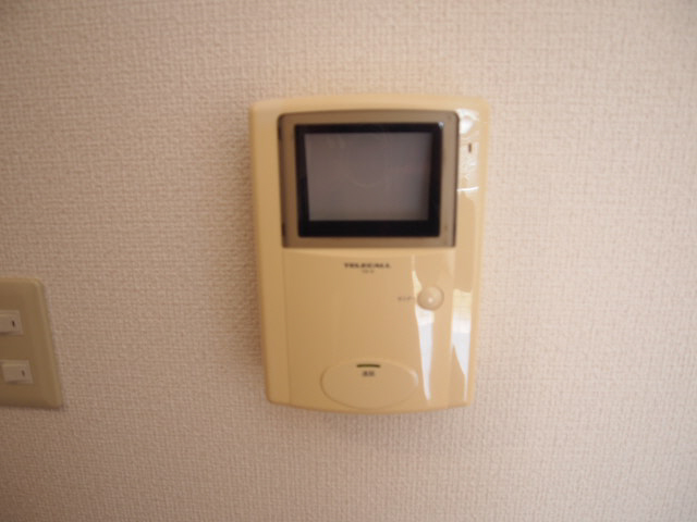 Other Equipment. It comes with a TV monitor phone.