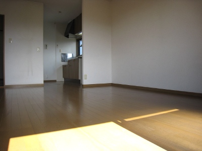 Living and room. Living