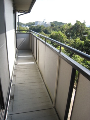 Balcony. Veranda