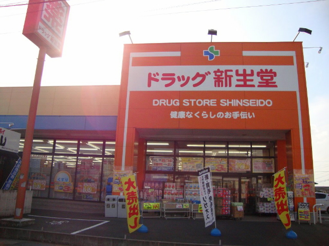 Dorakkusutoa. Drag Shinseido Noborimachi shop 392m until (drugstore)