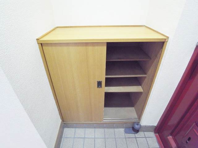 Entrance. Shoes BOX is equipped