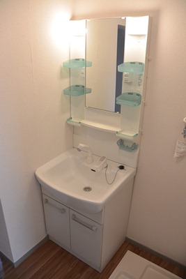 Washroom. Wash basin