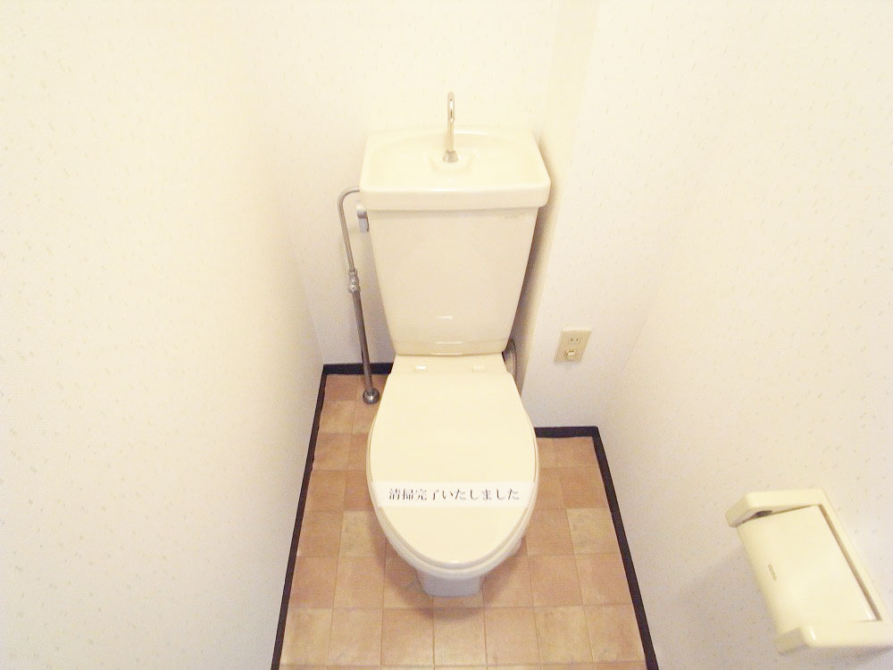 Toilet. Toilets clean renovation completed