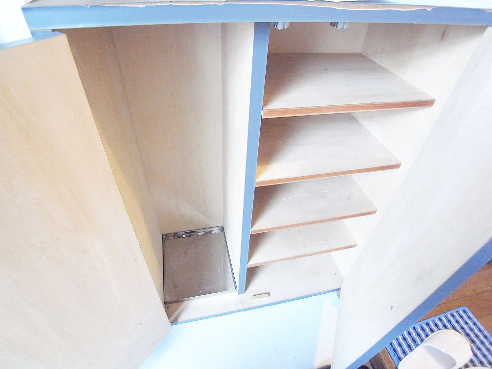 Entrance. Shoes BOX equipped