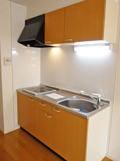 Kitchen. System kitchen (two-burner stove IH)