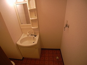 Washroom. Bathroom Vanity