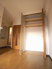 Living and room. closet