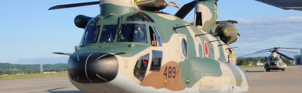 Other. 2400m to the Japan Air Self-Defense Force Kasugabaru base (Other)