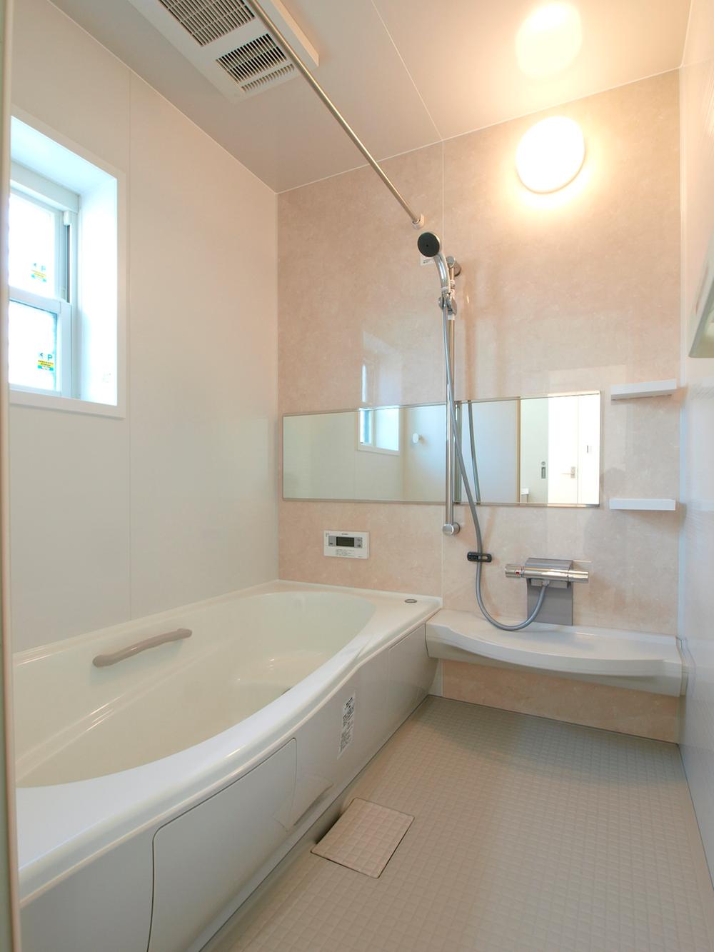 Bathroom. Local (August 2013) Shooting