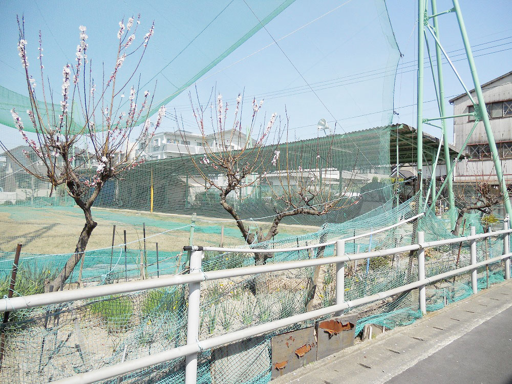 Other. 22m to Kasuga Golf Center (driving range) (Other)