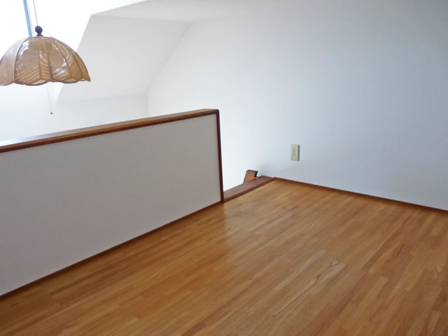 Living and room. loft