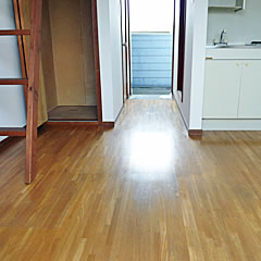 Other room space. Western style room