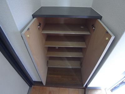 Entrance. Enough shoes BOX to single people