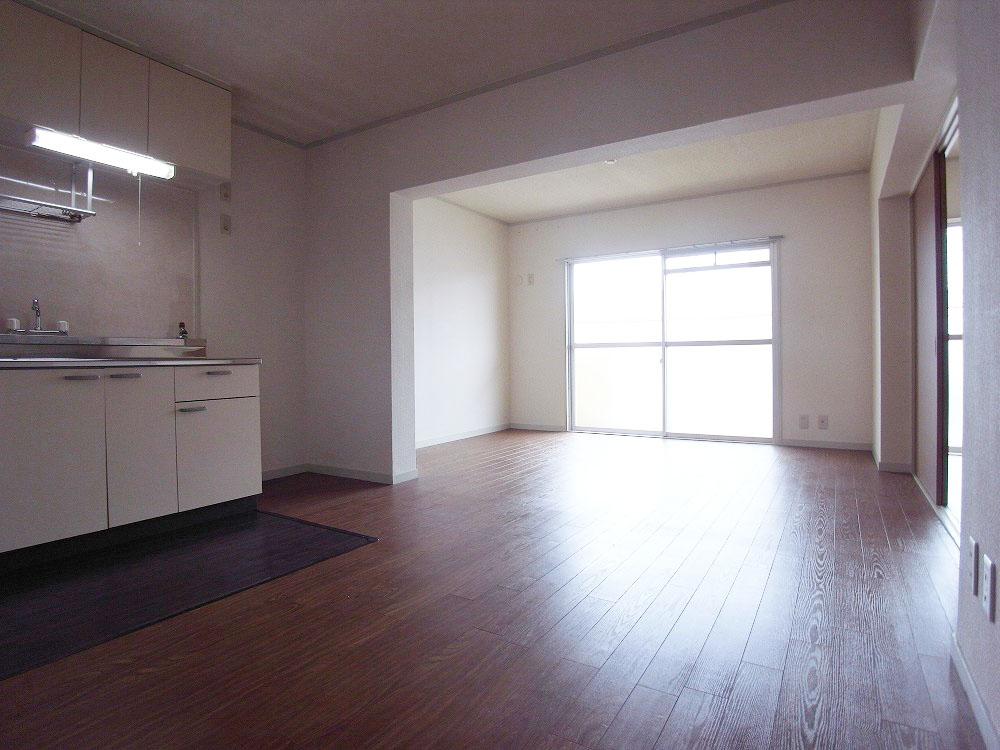 Living and room. Flash was lost to too bright backlit (sweat)