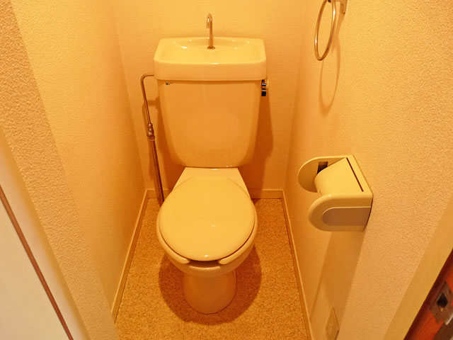 Toilet. Toilet