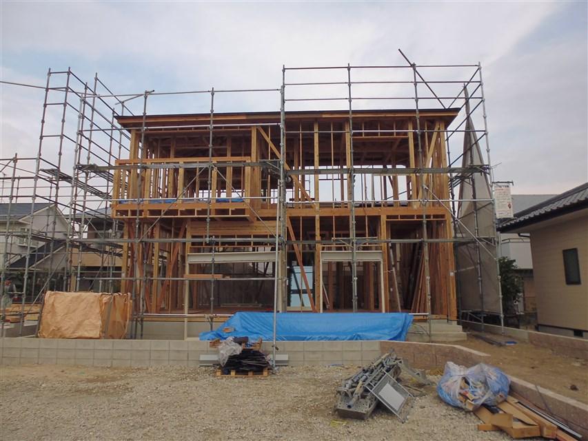 Local appearance photo. Local photo (2013 November 16, 2008)